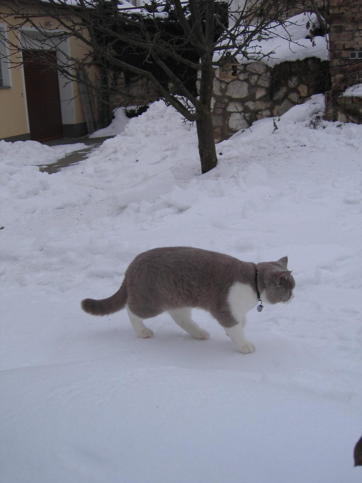 IMG_6374.JPG